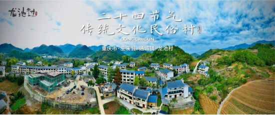 通城镇龙池村.png